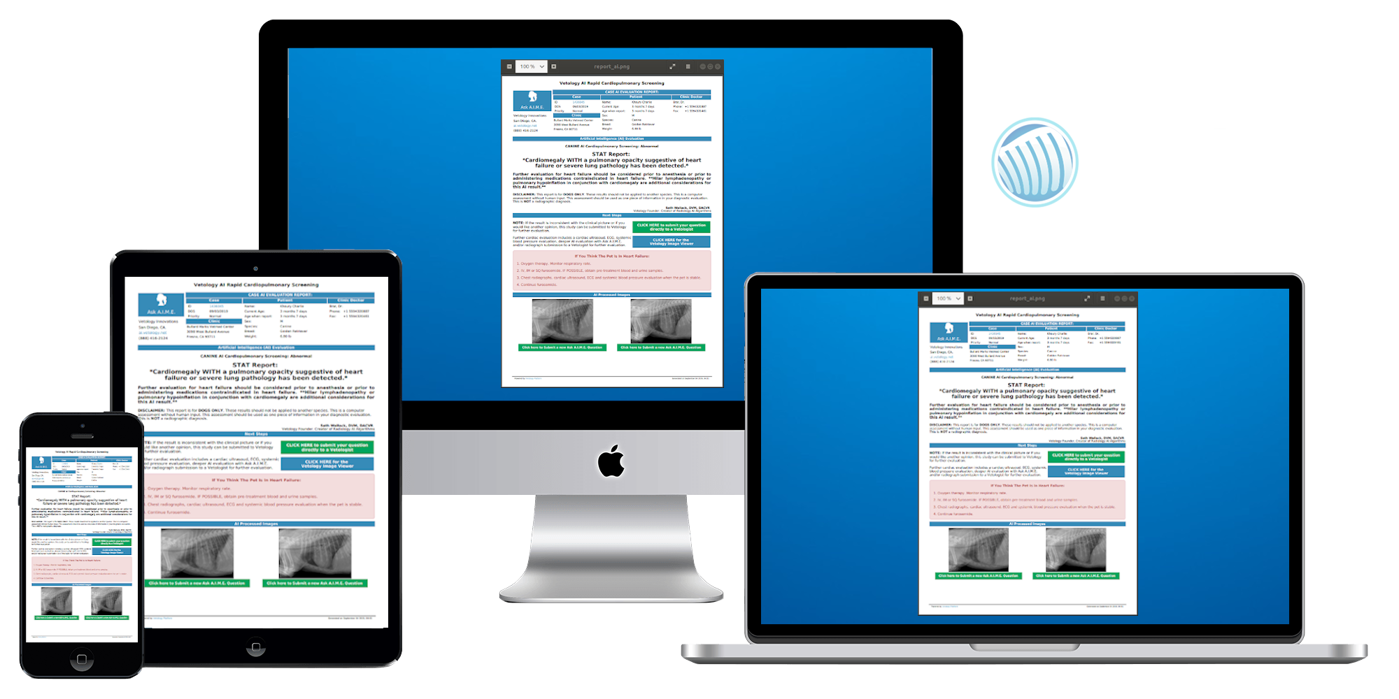 Artificial Intelligence For Veterinary Radiology